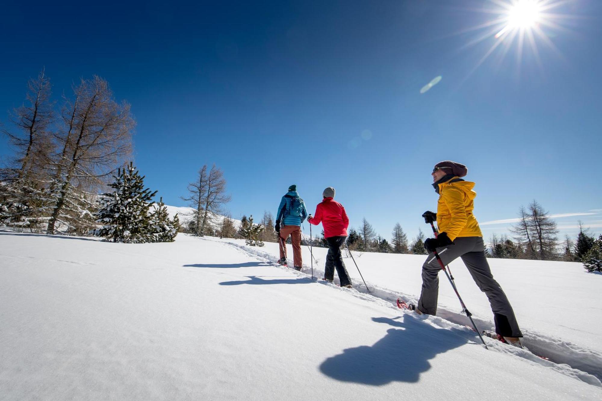 Feriendorf Murau By Alps Resorts Buitenkant foto