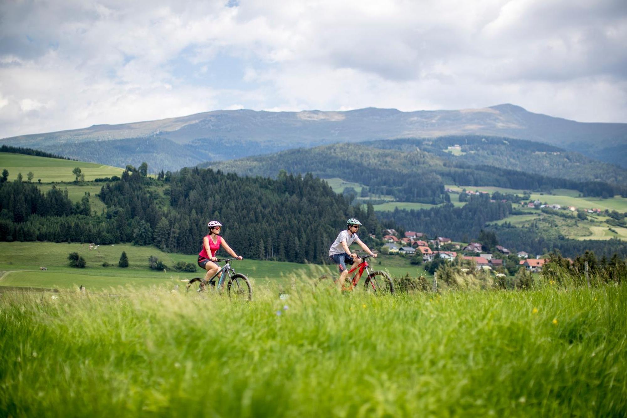 Feriendorf Murau By Alps Resorts Buitenkant foto